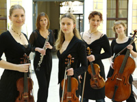 baroccolo in concert